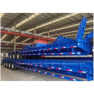 Trailers à lit bas professionnel sur mesure 3 essieux conteneur semi-remorque 16000x2500x1100mm