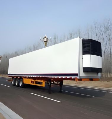 Couleur personnalisée Wosheng 3 Axle 20 40 45 53 Ft congélateur réfrigérateur Van Semi-remorque