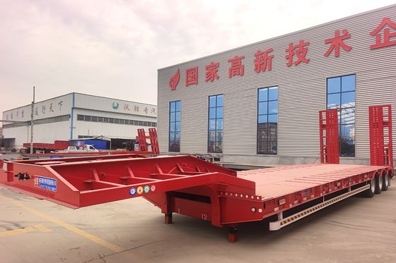 Trailers à lit bas professionnel sur mesure 3 essieux conteneur semi-remorque 16000x2500x1100mm