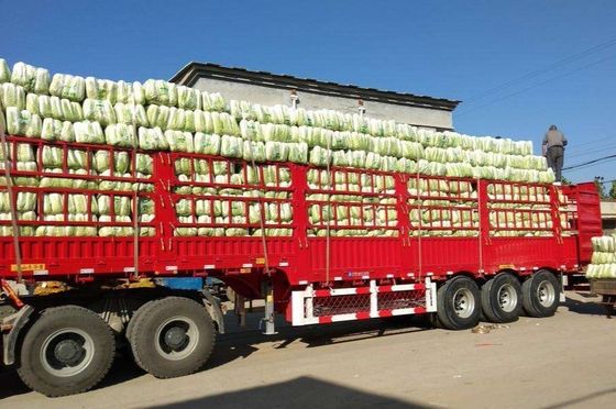 3 axes personnalisés 60 80 Tonnes de transport de fruits et légumes
