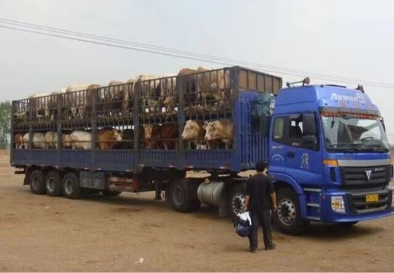 Meilleur remorque de clôture de matériel en acier de 40 à 80 tonnes pour le transport d'animaux et de marchandises